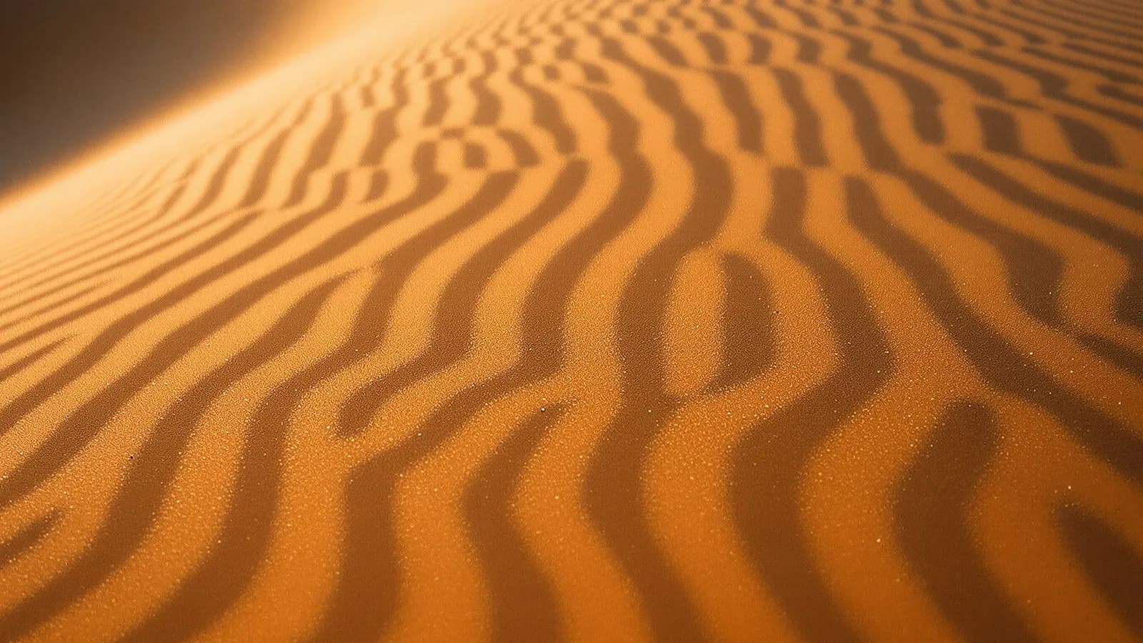 Extreme macro close-up of wind-rippled golden desert sand dunes at low sun angle, warm ochre and copper tones, shallow depth of field