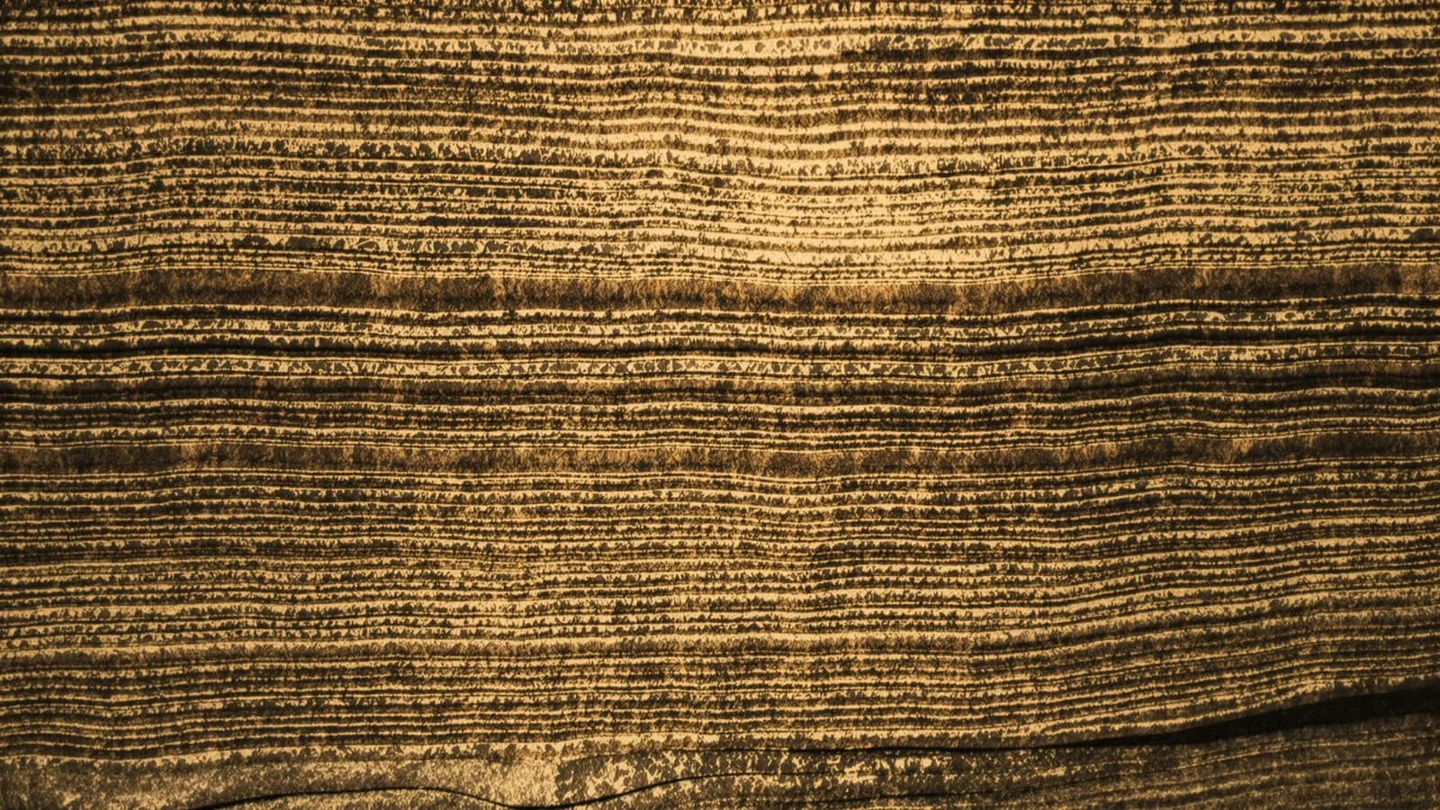 Extreme macro of weathered layered stone strata in warm side light