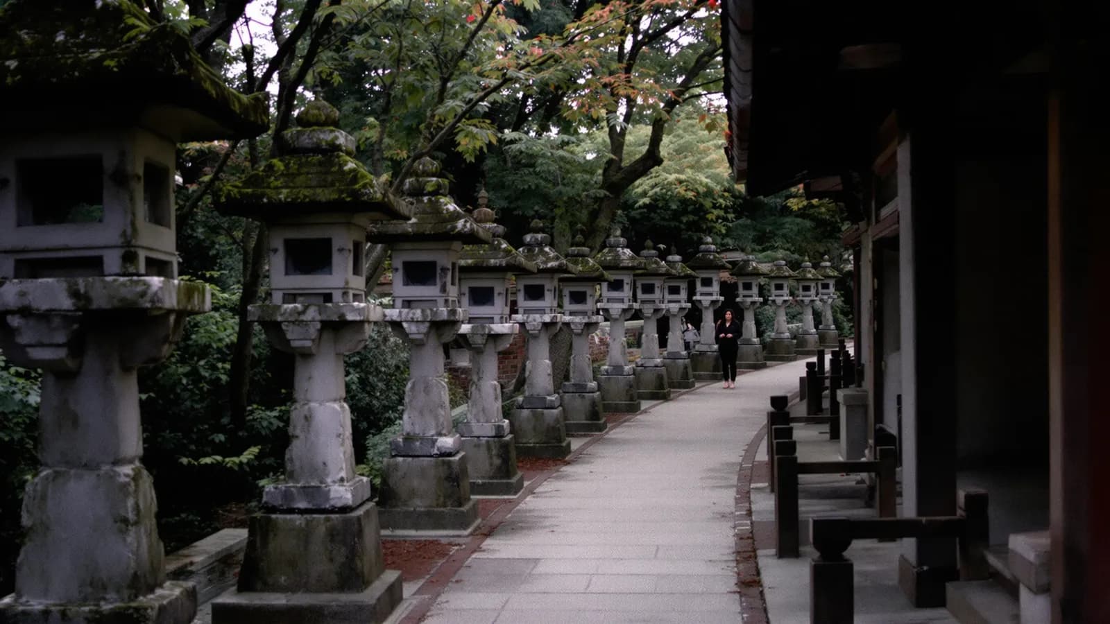 Quiet temple path lined with stone lanterns under soft light