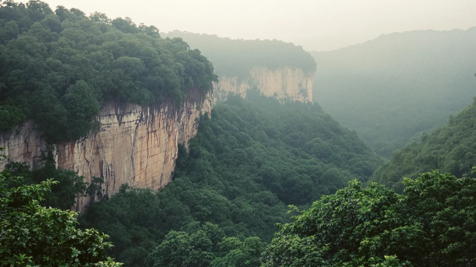 Limestone cliffs rising from dense jungle in morning haze