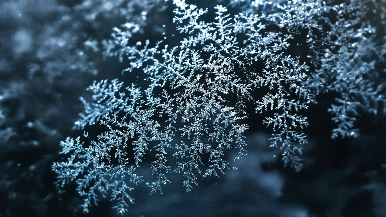 Extreme macro close-up of frost crystals forming on a dark window pane at dawn, shallow depth of field