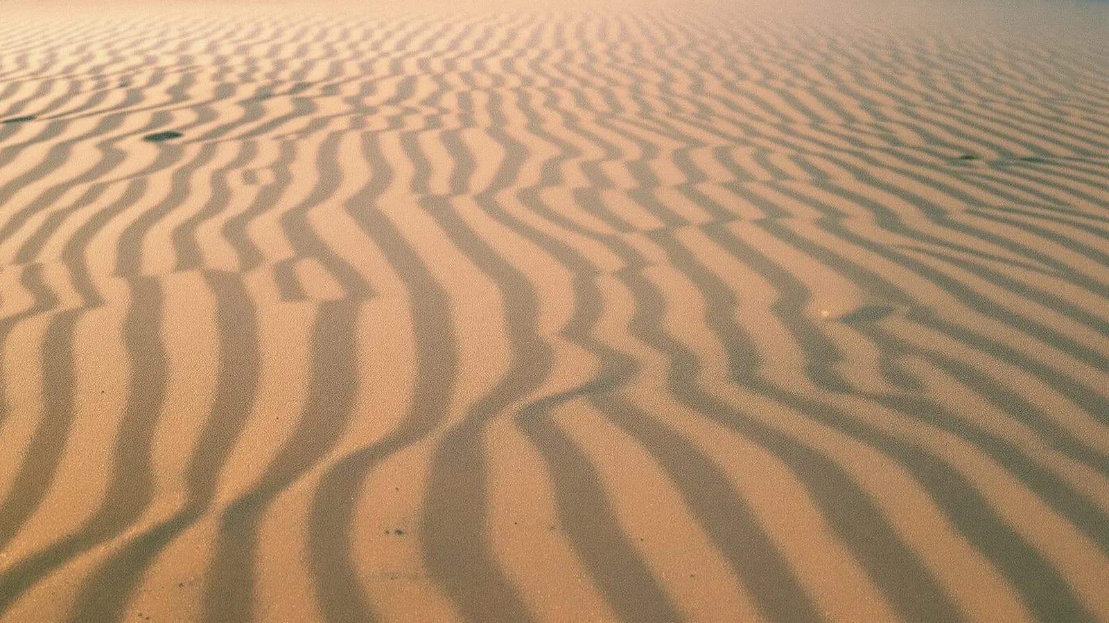 Close-up of rippled desert sand dunes at dawn with long soft shadows